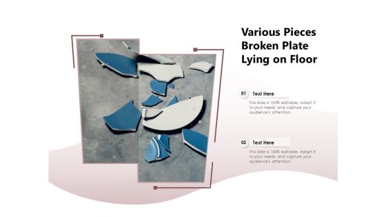 Various Pieces Broken Plate Lying On Floor Ppt PowerPoint Presentation Show Background Image PDF