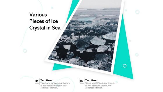Various Pieces Of Ice Crystal In Sea Ppt PowerPoint Presentation Gallery Examples PDF