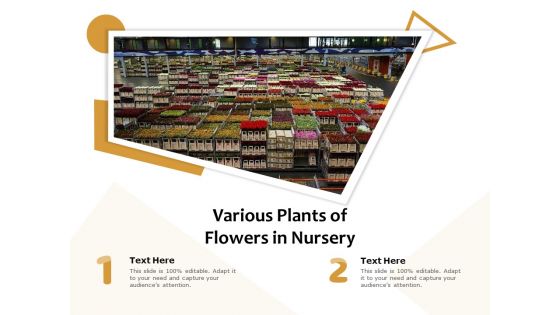 Various Plants Of Flowers In Nursery Ppt PowerPoint Presentation Infographics Shapes PDF