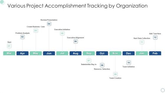 Various Project Accomplishment Tracking By Organization Diagrams PDF