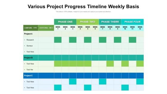 Various Project Progress Timeline Weekly Basis Ppt PowerPoint Presentation File Icon PDF