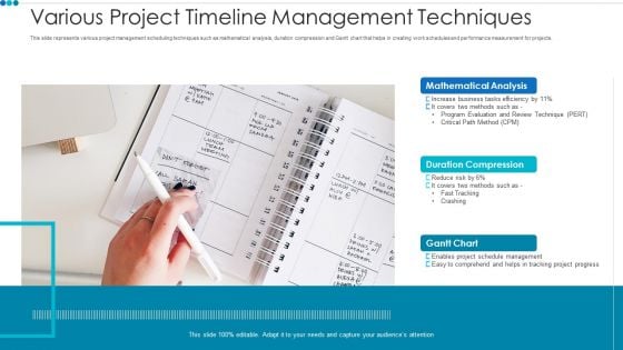 Various Project Timeline Management Techniques Professional PDF Various Project Timeline Management Techniques Professional PDF
