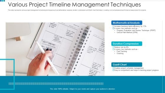 Various Project Timeline Management Techniques Professional PDF