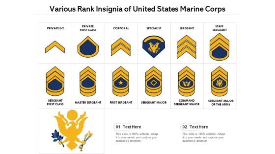 Various Rank Insignia Of United States Marine Corps Ppt PowerPoint Presentation File Grid PDF