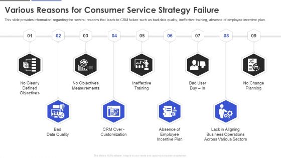 Various Reasons For Consumer Service Strategy Failure Sample PDF