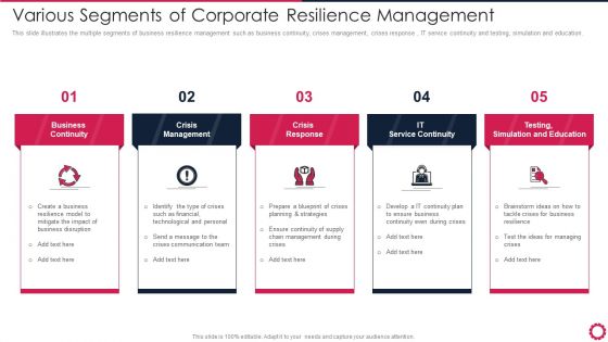 Various Segments Of Corporate Resilience Management Icons PDF