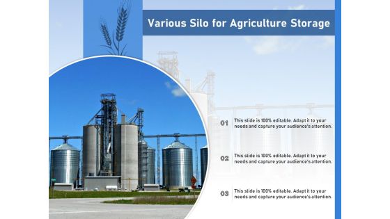 Various Silo For Agriculture Storage Ppt PowerPoint Presentation File Guide PDF