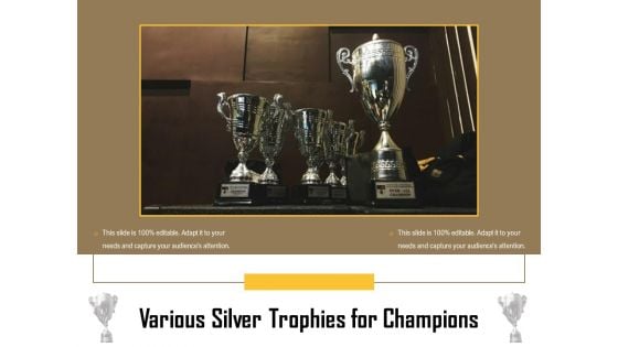 Various Silver Trophies For Champions Ppt PowerPoint Presentation Layouts Maker PDF