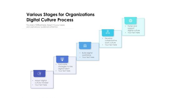 Various Stages For Organizations Digital Culture Process Ppt PowerPoint Presentation Professional Pictures PDF