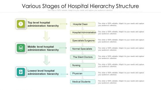 various stages of hospital hierarchy structure rules pdf