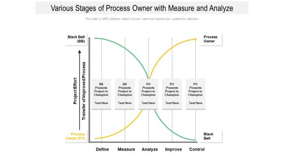 Various Stages Of Process Owner With Measure And Analyze Ppt PowerPoint Presentation Gallery Show PDF