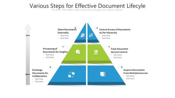 Various Steps For Effective Document Lifecyle Sample PDF