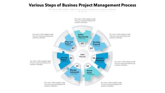 Various Steps Of Busines Project Management Process Ppt PowerPoint Presentation Infographics Designs PDF