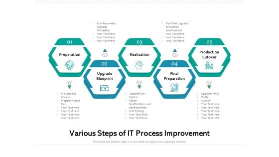 Various Steps Of IT Process Improvement Ppt PowerPoint Presentation File Outline PDF