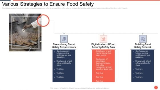 Various Strategies To Ensure Food Safety Assuring Food Quality And Hygiene Brochure PDF