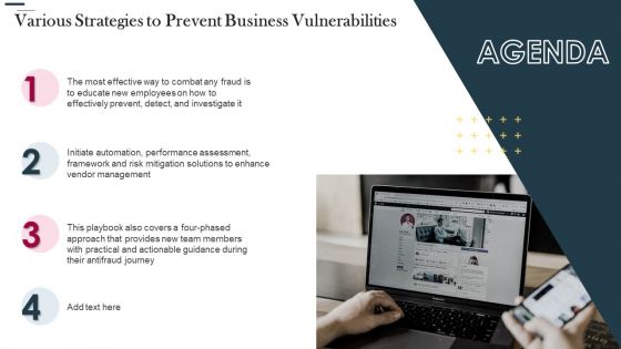 Various Strategies To Prevent Business Vulnerabilities Agenda Pictures PDF