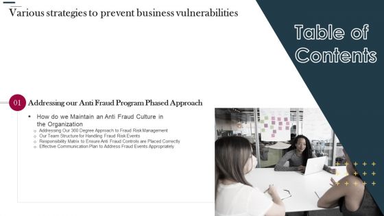 Various Strategies To Prevent Business Vulnerabilities Table Of Contents Infographics PDF