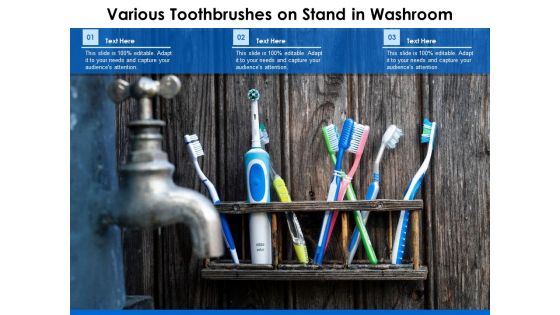 Various Toothbrushes On Stand In Washroom Ppt PowerPoint Presentation Styles Format Ideas PDF