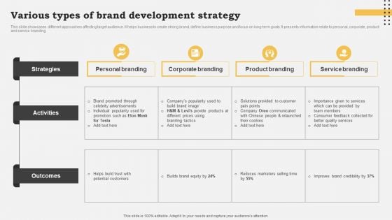 Various Types Of Brand Development Strategy Elements PDF