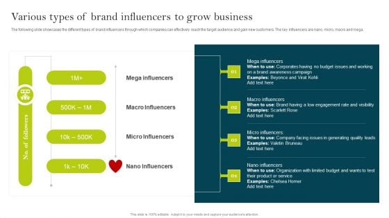 Various Types Of Brand Influencers To Grow Business Ppt PowerPoint Presentation Diagram Lists PDF