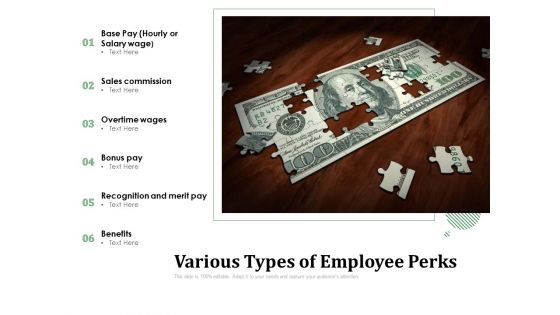 Various Types Of Employee Perks Ppt PowerPoint Presentation Model Show PDF