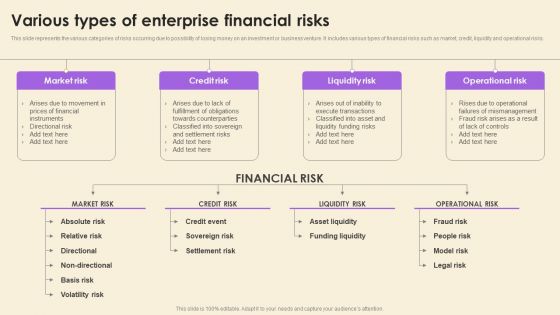 Various Types Of Enterprise Financial Risks Inspiration PDF