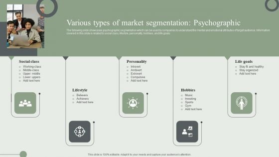 Various Types Of Market Segmentation Psychographic Ppt PowerPoint Presentation File Portfolio PDF