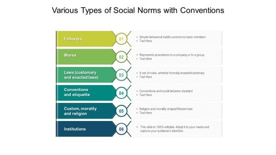 Various Types Of Social Norms With Conventions Ppt PowerPoint Presentation Gallery Graphics PDF