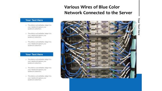 Various Wires Of Blue Color Network Connected To The Server Ppt PowerPoint Presentation Gallery Graphic Images PDF