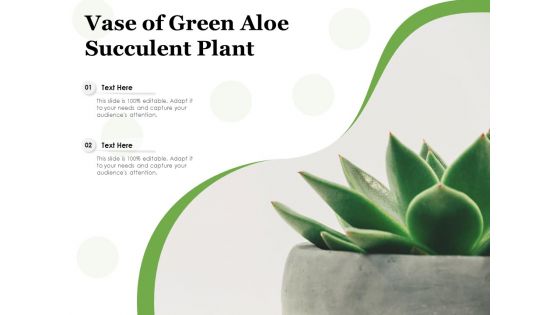 Vase Of Green Aloe Succulent Plant Ppt PowerPoint Presentation Infographics Portfolio PDF