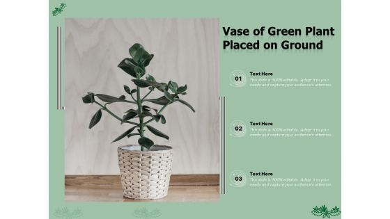 Vase Of Green Plant Placed On Ground Ppt PowerPoint Presentation Images PDF