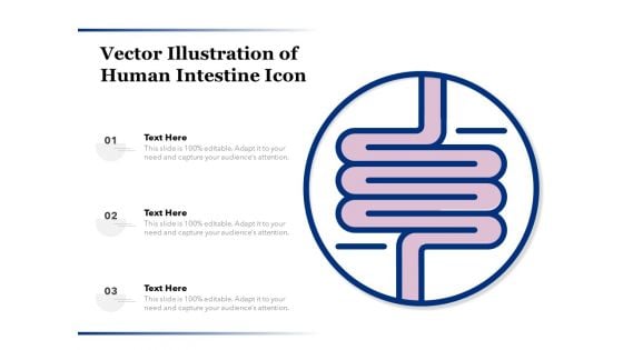 Vector Illustration Of Human Intestine Icon Ppt PowerPoint Presentation Infographics File Formats PDF