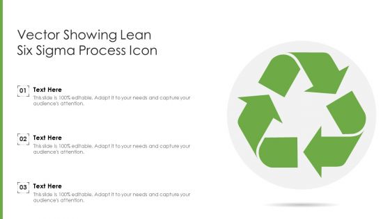 Vector Showing Lean Six Sigma Process Icon Ppt Slides Templates PDF