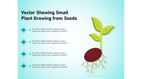 Vector Showing Small Plant Growing From Seeds Ppt PowerPoint Presentation Show Clipart PDF