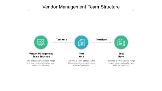 Vendor Management Team Structure Ppt PowerPoint Presentation Summary File Formats Cpb