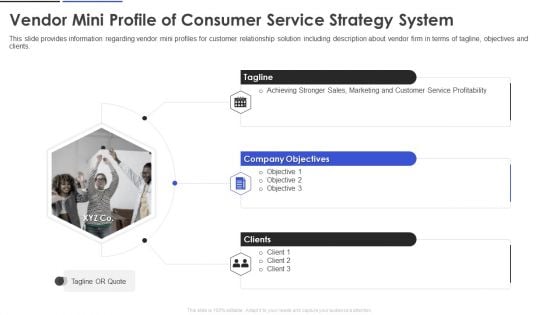 Vendor Mini Profile Of Consumer Service Strategy System Demonstration PDF