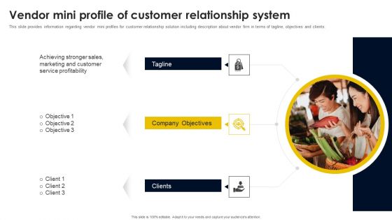 Vendor Mini Profile Of Customer Relationship System Designs PDF