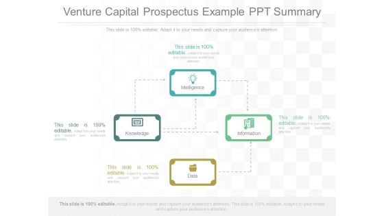 Venture Capital Prospectus Example Ppt Summary
