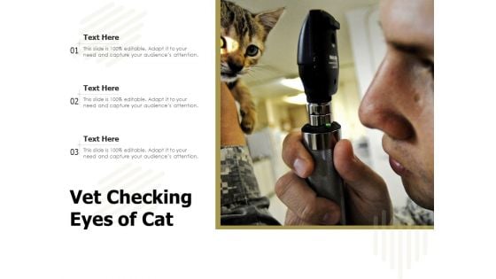 Vet Checking Eyes Of Cat Ppt PowerPoint Presentation File Inspiration PDF