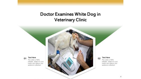 Veterinarian Doctor Examines Ppt PowerPoint Presentation Complete Deck