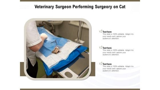 Veterinary Surgeon Performing Surgeory On Cat Ppt PowerPoint Presentation Pictures Background Images PDF