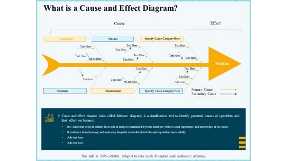 Vicious Circle Effect On Quality Assurance What Is A Cause And Effect Diagram Ppt Infographics Deck PDF