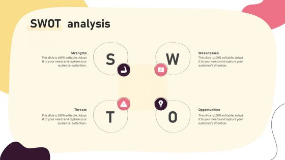 Video Promotion Techniques Swot Analysis Ppt PowerPoint Presentation File Files PDF