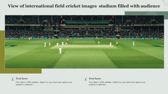 View Of International Field Cricket Images Stadium Filled With Audience Demonstration PDF