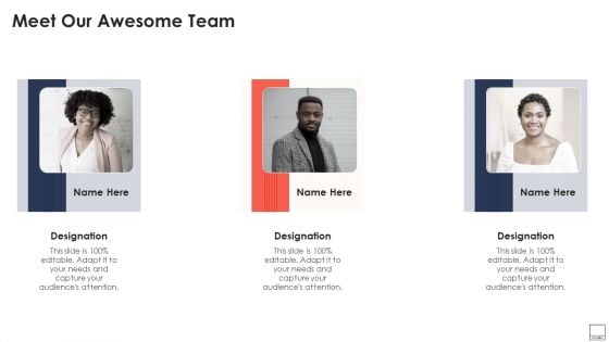 Virtual Video Hosting Platform Capital Raising Meet Our Awesome Team Slides PDF Virtual Video Hosting Platform Capital Raising Meet Our Awesome Team Slides PDF