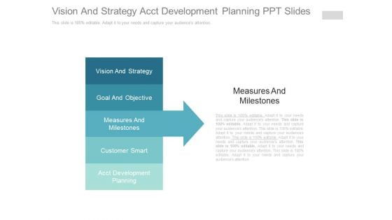 Vision And Strategy Acct Development Planning Ppt Slides