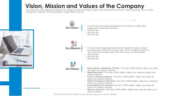 Vision Mission And Values Of The Company Professional PDF