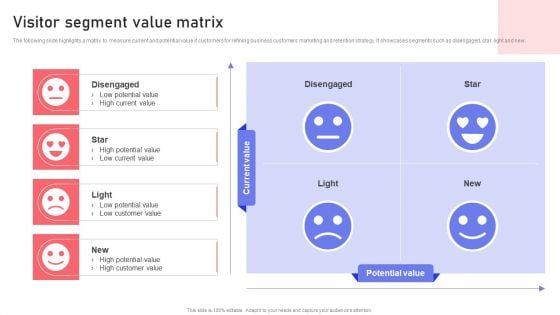 Visitor Segment Value Matrix Ppt PowerPoint Presentation File Styles PDF