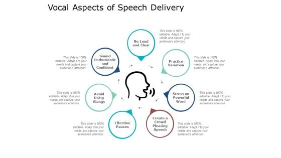 Vocal Aspects Of Speech Delivery Ppt PowerPoint Presentation Portfolio Example File