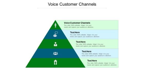 Voice Customer Channels Ppt PowerPoint Presentation Gallery Master Slide Cpb Pdf